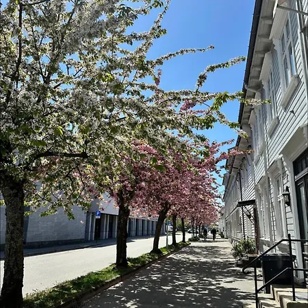 Newly Renovated, 10min From Dyreparken Apartment *